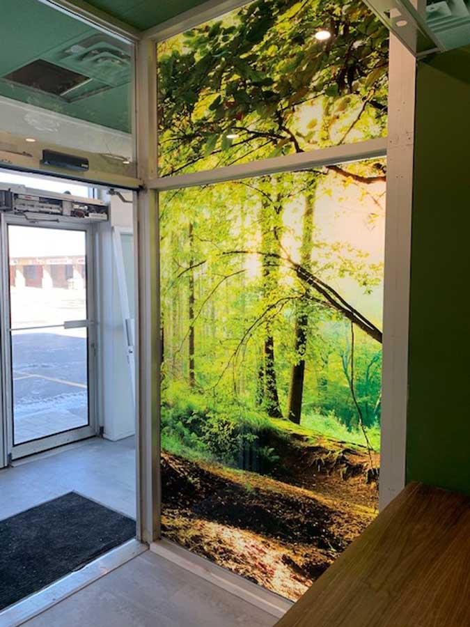 Getting commercial window tinting can be great for your office.